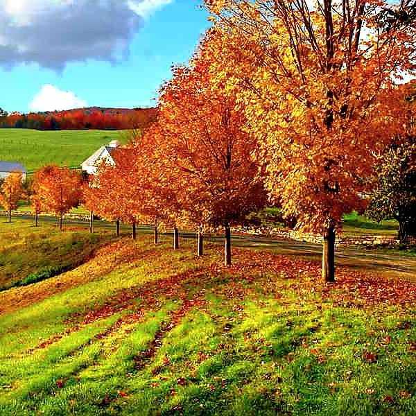 آهنگ جدید به تو نگم به کی بگم این روزا دارم میمیرم